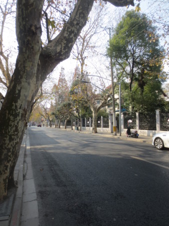 f:id:sumita-m:20141227124825j:image