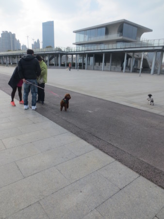 f:id:sumita-m:20150117134652j:image