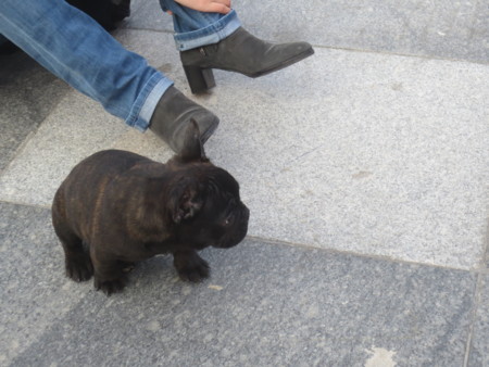 f:id:sumita-m:20150117151111j:image