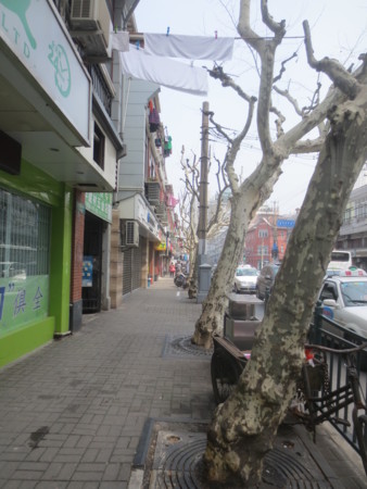 f:id:sumita-m:20150321121953j:image