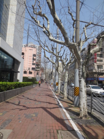 f:id:sumita-m:20150322112002j:image