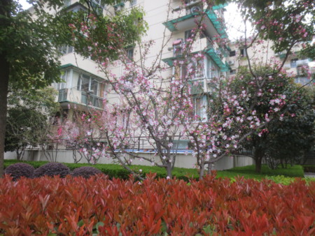 f:id:sumita-m:20150326162209j:image