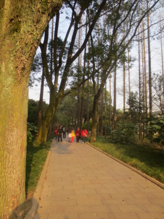 f:id:sumita-m:20150328161051j:image