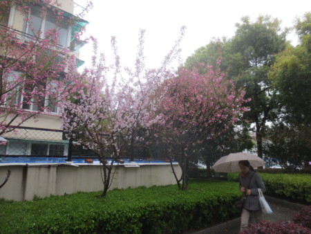 f:id:sumita-m:20150330090243j:image