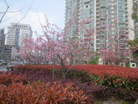 f:id:sumita-m:20150331134012j:image f:id:sumita-m:20150331134012j:image