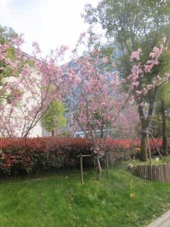 f:id:sumita-m:20150331134123j:image f:id:sumita-m:20150331134123j:image