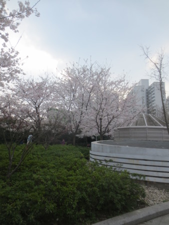 f:id:sumita-m:20150331152724j:image f:id:sumita-m:20150331152724j:image