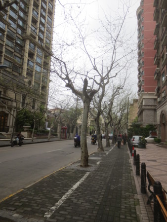 f:id:sumita-m:20150406142705j:image