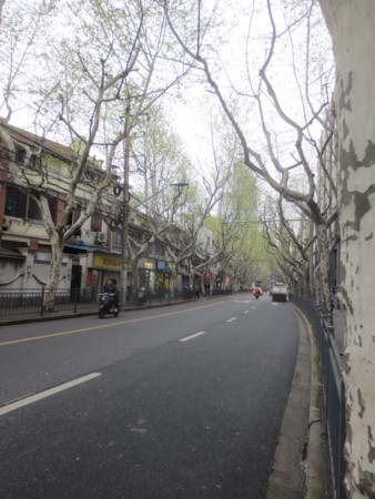 f:id:sumita-m:20150406144311j:image