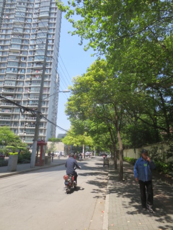 f:id:sumita-m:20150421122359j:image f:id:sumita-m:20150421122359j:image