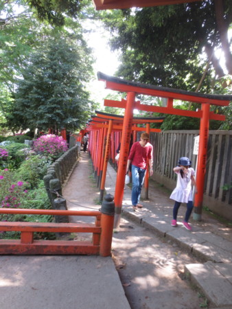 f:id:sumita-m:20150504125912j:image f:id:sumita-m:20150504125912j:image