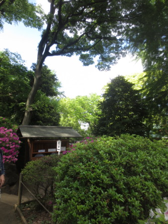 f:id:sumita-m:20150504131928j:image