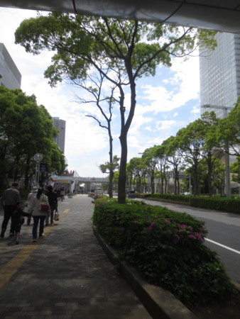 f:id:sumita-m:20150505114113j:image