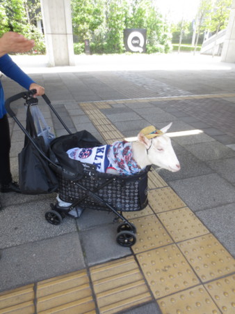 f:id:sumita-m:20150505114734j:image