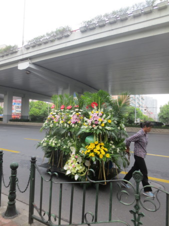 f:id:sumita-m:20150524123754j:image f:id:sumita-m:20150524123754j:image