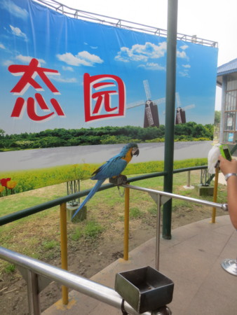 f:id:sumita-m:20150531092359j:image