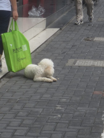 f:id:sumita-m:20150701113507j:image