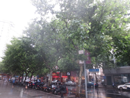 f:id:sumita-m:20150711115653j:image
