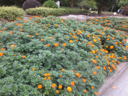 f:id:sumita-m:20150716161256j:image f:id:sumita-m:20150716161256j:image