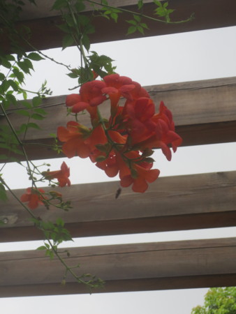 f:id:sumita-m:20150722154522j:image