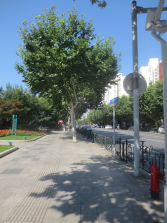 f:id:sumita-m:20150730085731j:image f:id:sumita-m:20150730085731j:image