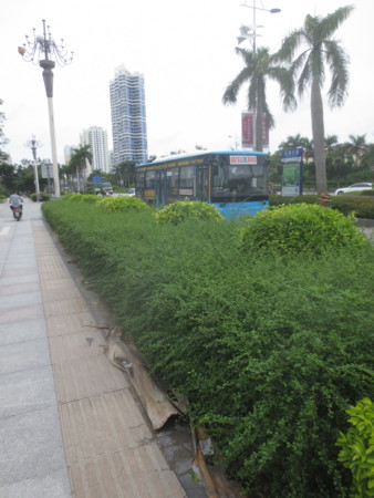 f:id:sumita-m:20150803144700j:image