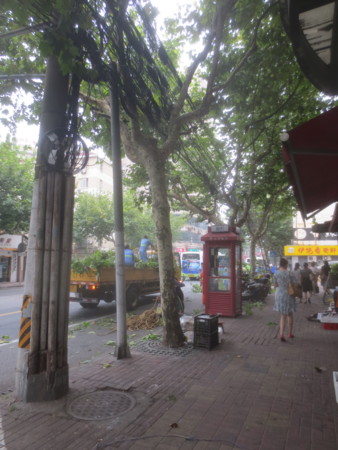 f:id:sumita-m:20150828134436j:image f:id:sumita-m:20150828134436j:image