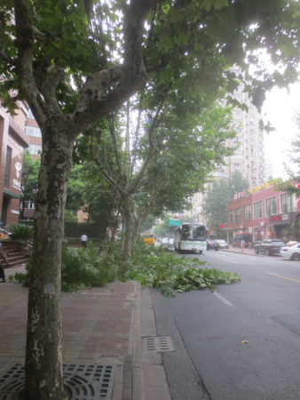 f:id:sumita-m:20150828140431j:image f:id:sumita-m:20150828140431j:image