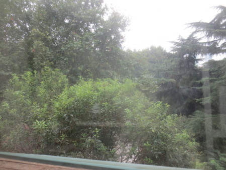 f:id:sumita-m:20150904142647j:image