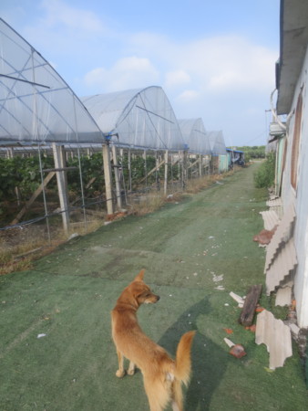 f:id:sumita-m:20150905154439j:image