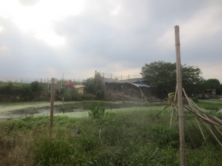 f:id:sumita-m:20150905160533j:image