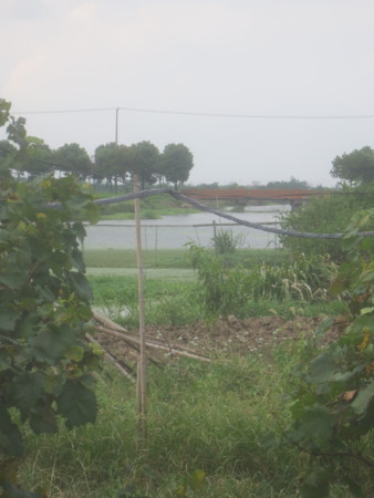 f:id:sumita-m:20150905160633j:image