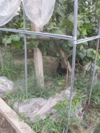 f:id:sumita-m:20150905160836j:image