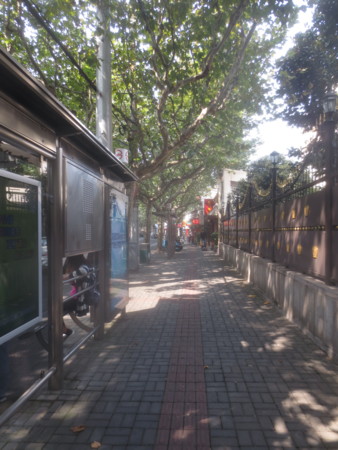 f:id:sumita-m:20151013105843j:image f:id:sumita-m:20151013105843j:image