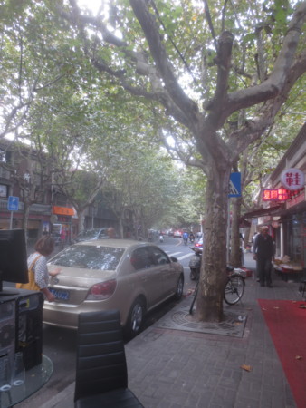 f:id:sumita-m:20151022104849j:image f:id:sumita-m:20151022104849j:image