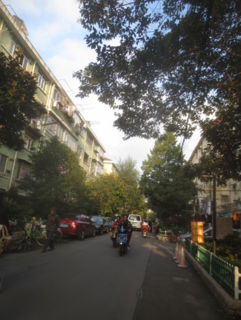 f:id:sumita-m:20151106154704j:image