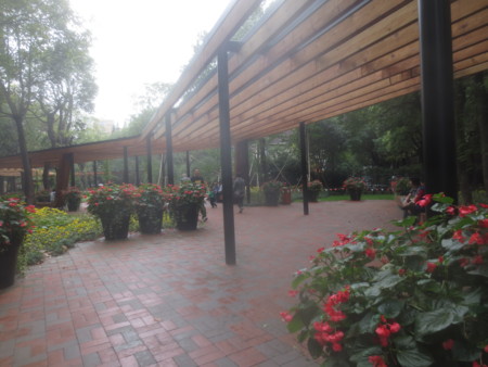 f:id:sumita-m:20151107143233j:image f:id:sumita-m:20151107143233j:image