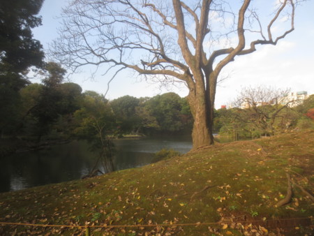 f:id:sumita-m:20151116133211j:image
