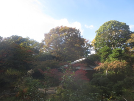 f:id:sumita-m:20151119124941j:image