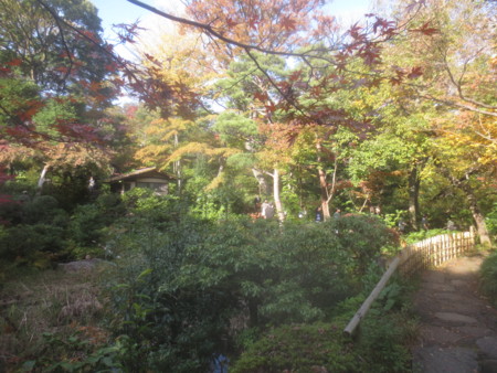 f:id:sumita-m:20151119125001j:image