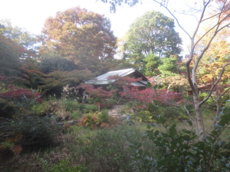 f:id:sumita-m:20151119125130j:image