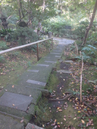 f:id:sumita-m:20151119125426j:image