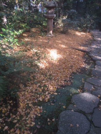 f:id:sumita-m:20151119125531j:image