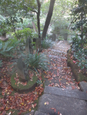 f:id:sumita-m:20151119125913j:image