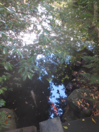 f:id:sumita-m:20151119130108j:image