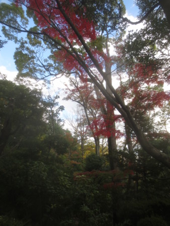 f:id:sumita-m:20151119132010j:image