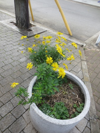 f:id:sumita-m:20151121095925j:image f:id:sumita-m:20151121095925j:image