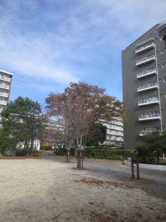 f:id:sumita-m:20151121100321j:image f:id:sumita-m:20151121100321j:image