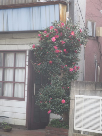 f:id:sumita-m:20151121100557j:image f:id:sumita-m:20151121100557j:image