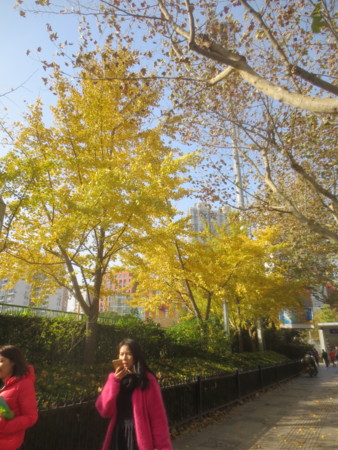f:id:sumita-m:20151203140633j:image f:id:sumita-m:20151203140633j:image